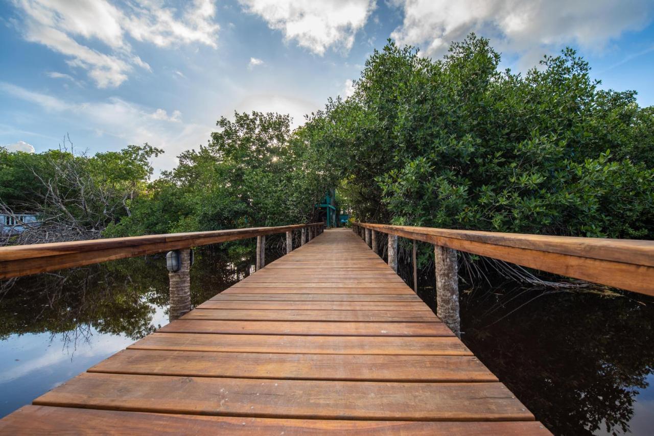 Bella Vista Resort Belize سان بيدرو المظهر الخارجي الصورة