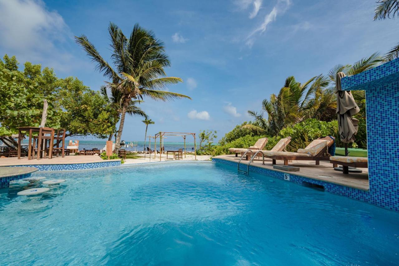 Bella Vista Resort Belize سان بيدرو المظهر الخارجي الصورة