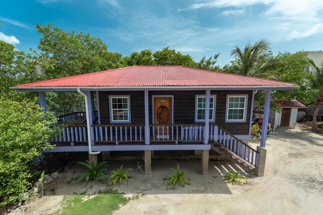 Bella Vista Resort Belize سان بيدرو المظهر الخارجي الصورة